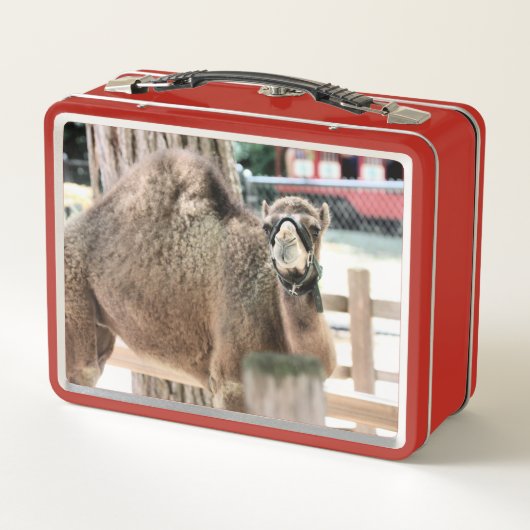 Fuzzy Typ Metall Brotdose (Rückseite)