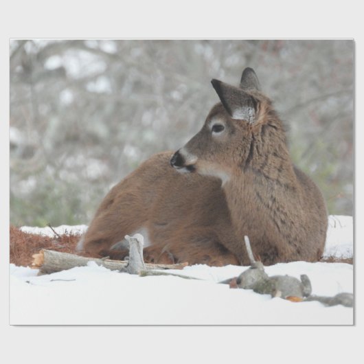 Fuzzy White Tails Deer Fawn Geschenkpapier (Flach)