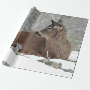 Fuzzy White Tails Deer Fawn Geschenkpapier
