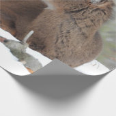 Fuzzy White Tails Deer Fawn Geschenkpapier (Ecke)