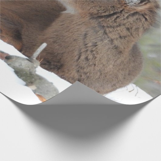 Fuzzy White Tails Deer Fawn Geschenkpapier (Ecke)