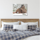 Fuzzy White Tails Deer Fawn Leinwanddruck (Insitu (Schlafzimmer))