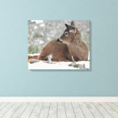 Fuzzy White Tails Deer Fawn Leinwanddruck (Insitu (Holzboden))