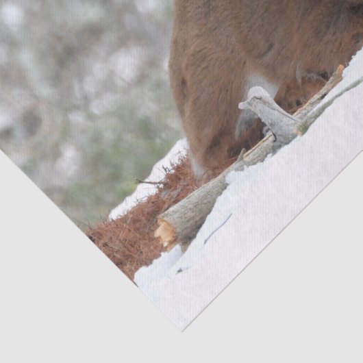 Fuzzy White Tails Deer Fawn Seidenpapier (Ausschnitt)
