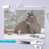 Fuzzy White Tails Deer Fawn Seidenpapier (Handwerk)