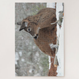 Fuzzy White Tails Hirsch Fawn ruht im Schnee Puzzle