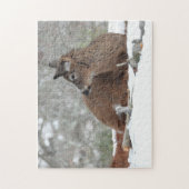 Fuzzy White Tails Hirsch Fawn ruht im Schnee Puzzle (Vertikal)