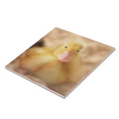 Fuzzy Yellow Duck Easter Baby Duckling Fliese (Seite)