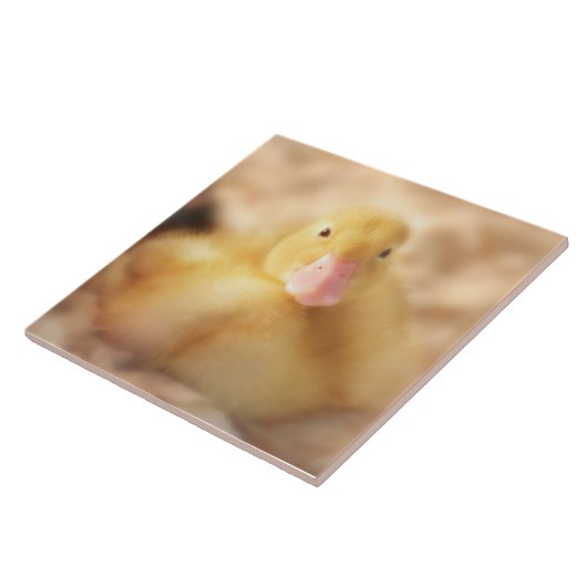Fuzzy Yellow Duck Easter Baby Duckling Fliese (Seite)