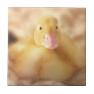 Fuzzy Yellow Duck Easter Baby Duckling Fliese
