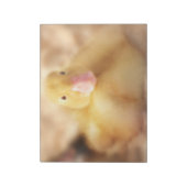 Fuzzy Yellow Duck Easter Baby Duckling Notizblock (Rotiert)