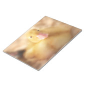 Fuzzy Yellow Duck Easter Baby Duckling Notizblock (angewinkelt)