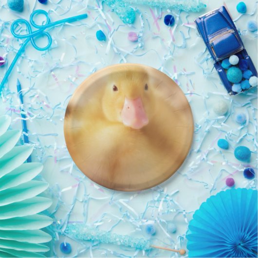 Fuzzy Yellow Duck Easter Baby Duckling Pappteller (Party)
