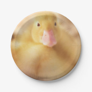 Fuzzy Yellow Duck Easter Baby Duckling Pappteller