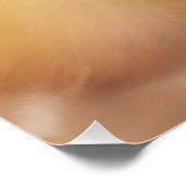 Fuzzy Yellow Duck Easter Baby Duckling Poster (Ecke)