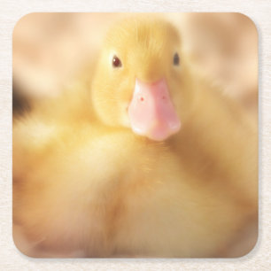 Fuzzy Yellow Duck Easter Baby Duckling Rechteckiger Pappuntersetzer