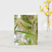 Fuzzy Yellow Raupe - Blank Grußkarte Karte (Gelbe Blume)