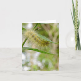 Fuzzy Yellow Raupe - Blank Grußkarte Karte