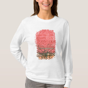 FWI, Guadeloupe, Grande Terre, Pointe-à-Pitre: T-Shirt