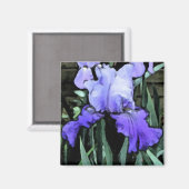 FX - Blue Iris Magnet (Vorderseite/Rückseite)