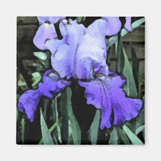 FX - Blue Iris Magnet (Vorne)