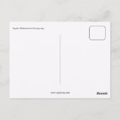 Fyodor Mikhailovich Dostoyevsky Postkarte (Rückseite)