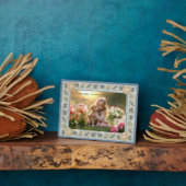 G-Einrichtung Fotoplatte (Seite)