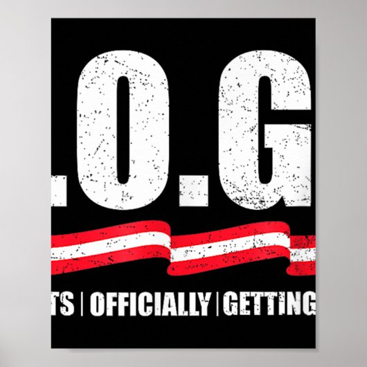 g.g.e Doge Department of Government Efficiency Poster (Vorne)