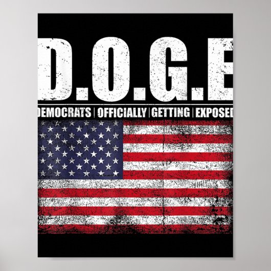 g.g.e Doge Department of Government Efficiency Poster (Vorne)