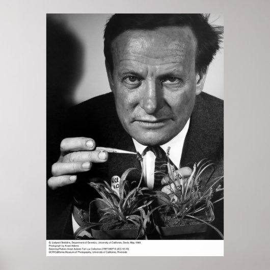 G. Ledyard Stebbins, UC Davis, 1966 Poster (Vorne)