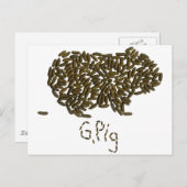 "G. Pig" mit klassischer Guinea Postkarte (Vorne/Hinten)