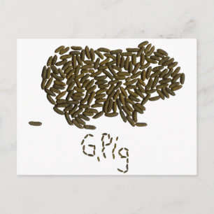 "G. Pig" mit klassischer Guinea Postkarte