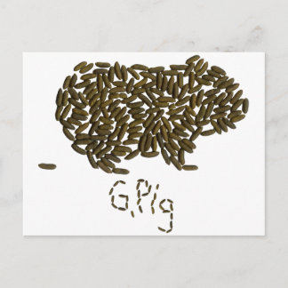 "G. Pig" mit klassischer Guinea Postkarte