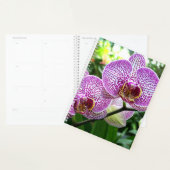 g Planer Lila gestreifte Orchideen (Anzeige)