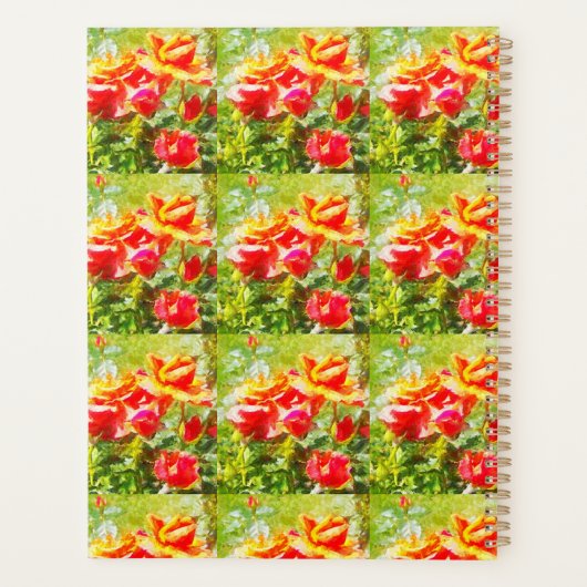 g Planer Orange Rose (Rückseite)