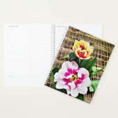 g Planer Rosa/Gelbe Tulpen (Anzeige)