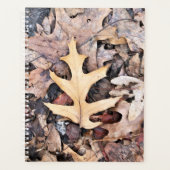 g Planner Oak Leaf Planer (Vorderseite)