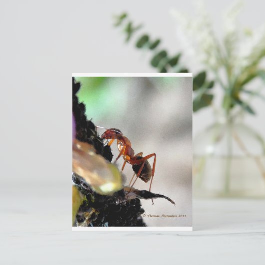 g postkarte (Stehend Vorderseite)