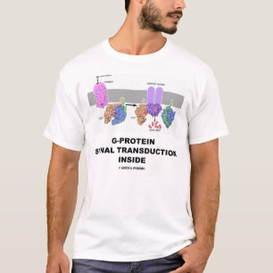 G-Protein SignalTransduction nach innen T-Shirt