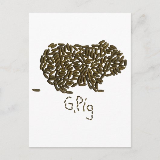 "G. Schweinefleisch" mit klassischer Guinea Postkarte (Vorderseite)