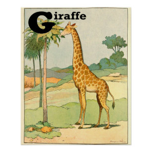 G steht für Giraffe Alphabet Tiere Perfekt Poster
