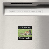 G Tag von unten unter Kangaroo Magnet (In Situ (Geschirrspüler))