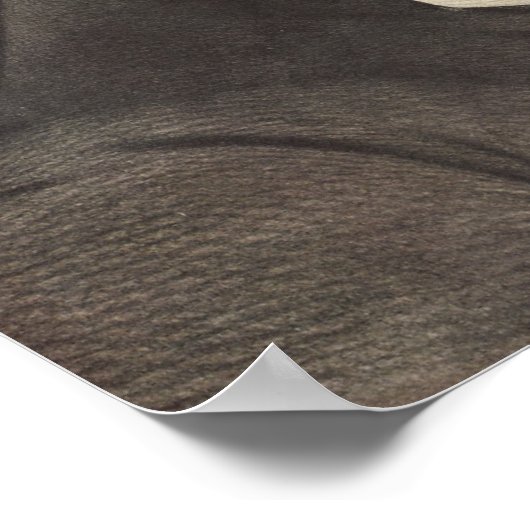 G Washington, Currier und Ives Poster (Ecke)