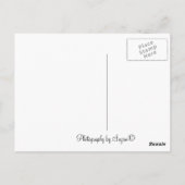 GA Aquarium Postkarte (Rückseite)