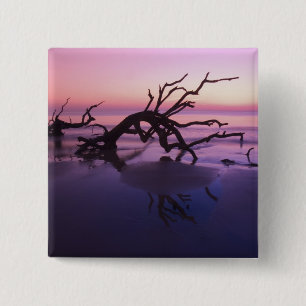 GA Jekyll Island, Baumfriedhof am Strand bei Button
