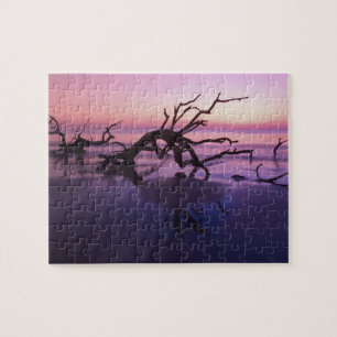 GA Jekyll Island, Baumfriedhof am Strand bei Puzzle