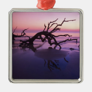 GA Jekyll Island, Baumfriedhof am Strand bei Silbernes Ornament