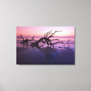 GA Jekyll Island, Tree Friedhof am Strand Leinwanddruck