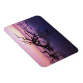 GA Jekyll Island, Tree Friedhof am Strand Magnet (Rechte Seite)