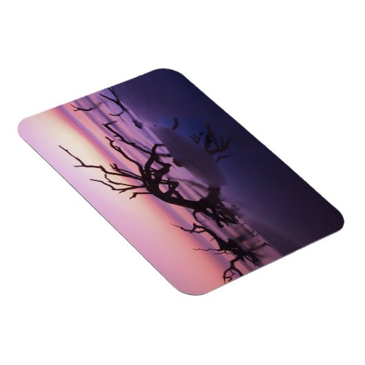 GA Jekyll Island, Tree Friedhof am Strand Magnet (Rechte Seite)